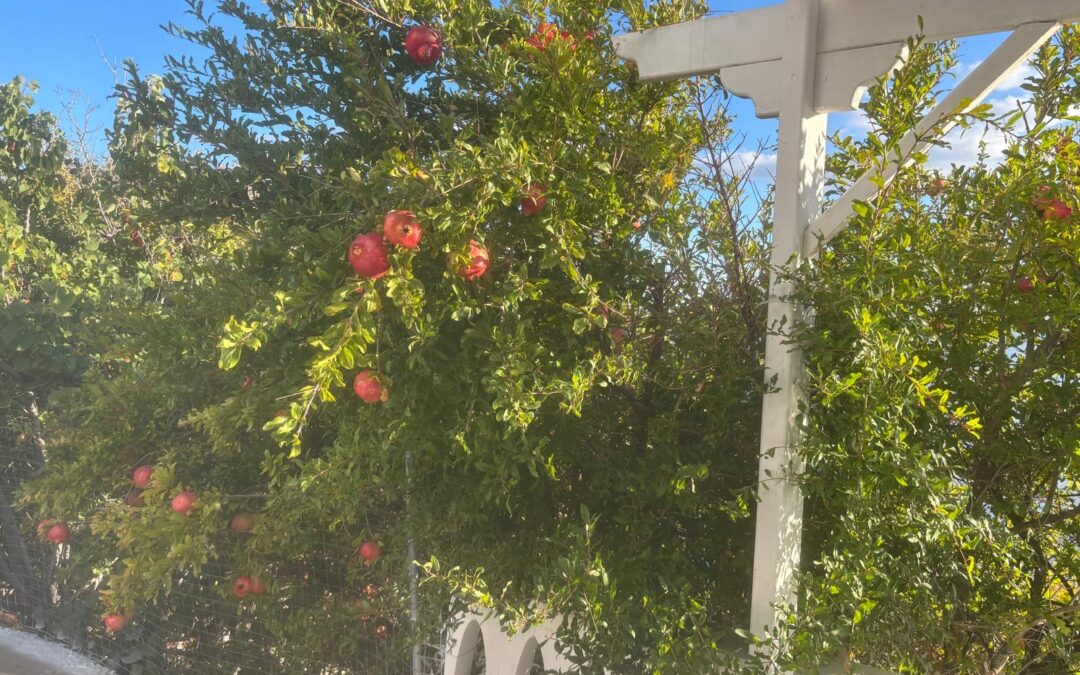 Fermeture pour congés annuels: réouverture le 4 novembre 2025 à midi